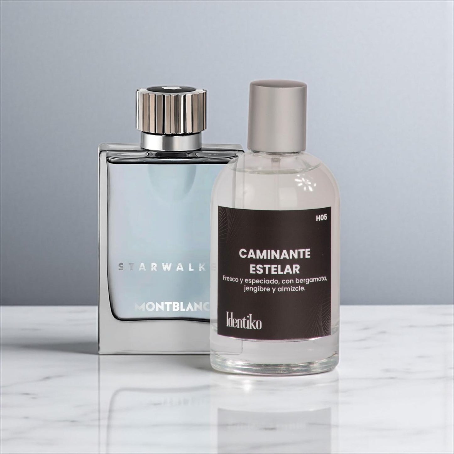 Caminante estelar – (Inspirado en Star Walker by Montblanc) H05