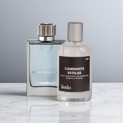 Caminante estelar – (Inspirado en Star Walker by Montblanc) H05