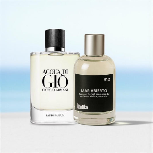 Mar Abierto – (Inspirado en Aqua Di Gio by Armani) H12