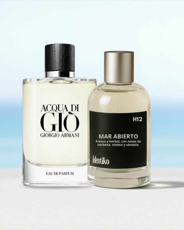 Mar Abierto – (Inspirado en Aqua Di Gio by Armani) H12